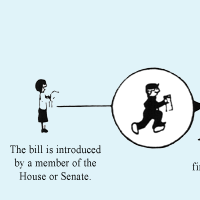 How a Bill Becomes a Law