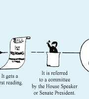 How a Bill Becomes a Law