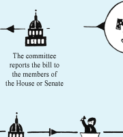 How a Bill Becomes a Law