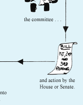 How a Bill Becomes a Law